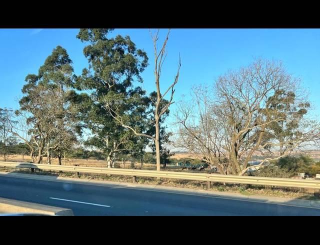 LAND PROPERTY TO RENT IN CAMPERDOWN